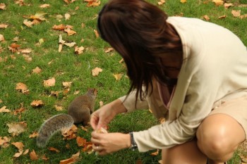 Russel Square Gardens -