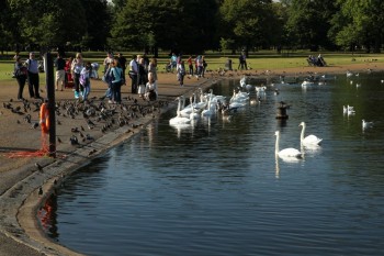 The Round Pond in Kensington Gardens