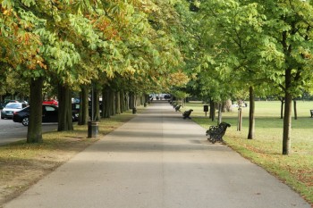 alee in Greenwich Park