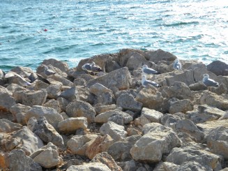 Croatia -Krk (Insula Krk)