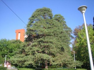 Ape termale cu valoare curativa extrem de valoroasa-Baile Felix