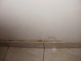 Mucegaiul din camera