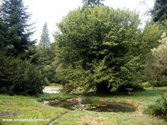 Arboretumul Simeria, Ansamblul Bela Fay