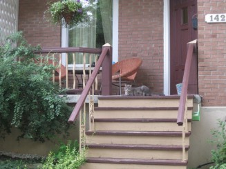 Montreal, cateva casute ...