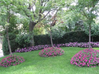 Montreal, cateva casute ...