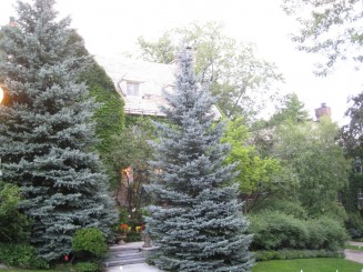 Montreal, cateva casute ...