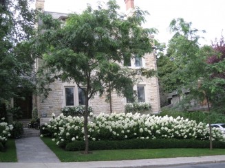 Montreal, cateva casute ...