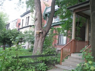 Montreal, cateva casute ...