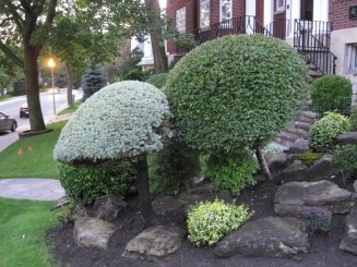 Montreal, cateva casute ...