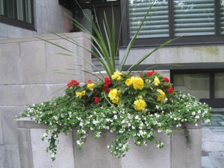 Montreal, cateva casute ...