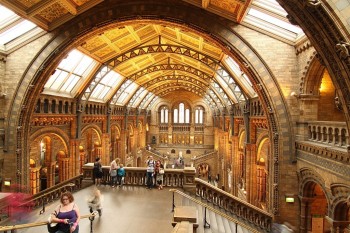 Natural History Museum