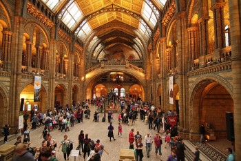 Natural History Museum