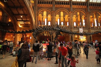 Natural History Museum