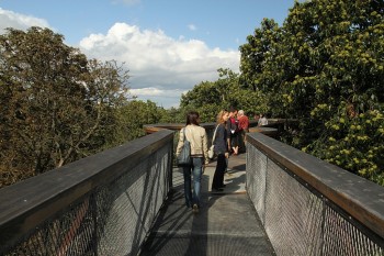 Kew Garden (gradina botanica)