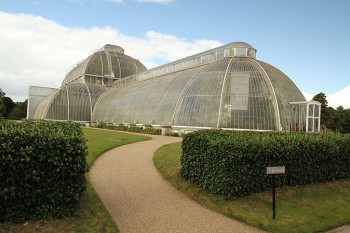 Kew Garden (gradina botanica)