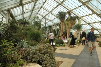 Kew Garden (gradina botanica)