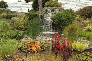 Kew Garden (gradina botanica)