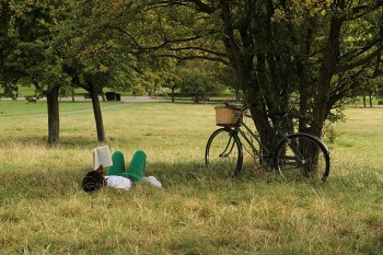 Primerose Hill - la nord-vest de Regent Park