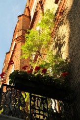 Londra - impresia mea, sfaturi si multe poze