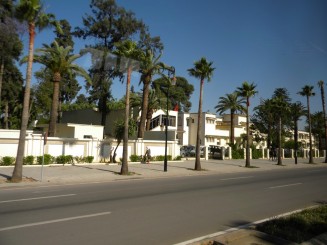 Avenue Hassan II - Fez, Maroc