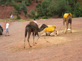 La VallÃ©e de l`Ourika -  Maroc