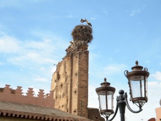 Les tombeaux saadiens - Marrakech