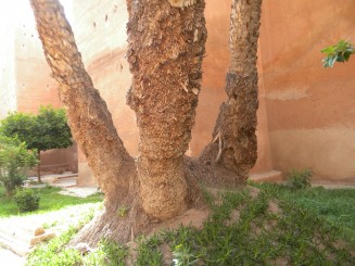 Les tombeaux saadiens - Marrakech
