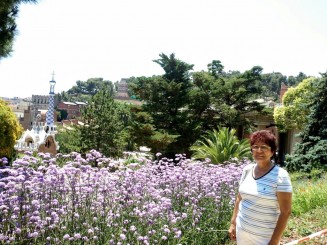 splendoarea florilor din parc