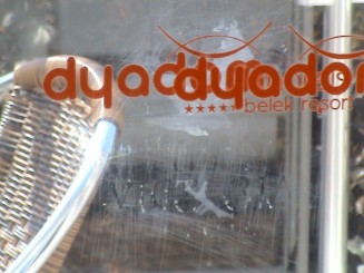 Geamurile de la receptie