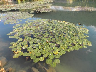 Pamukkale-ul de langa noi.