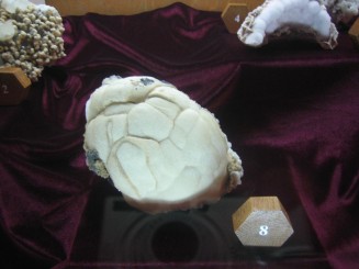 Muzeul de mineralogie