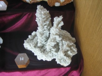 Muzeul de mineralogie