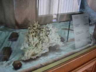 Muzeul de mineralogie