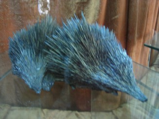 Muzeul de mineralogie