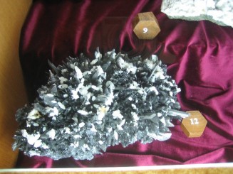 Muzeul de mineralogie