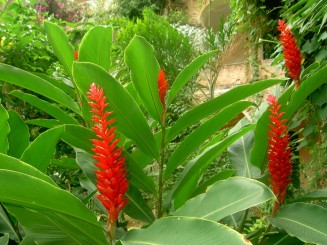 Baturite  - Manastirea Iezuitilor (Brazilia)