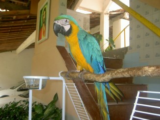 Baturite  - Manastirea Iezuitilor (Brazilia)