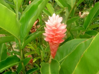 Baturite  - Manastirea Iezuitilor (Brazilia)