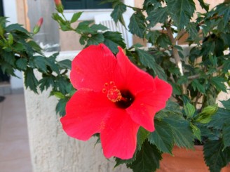 Cateva poze din insula Kea