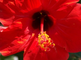 Cateva poze din insula Kea