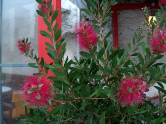 Cateva poze din insula Kea