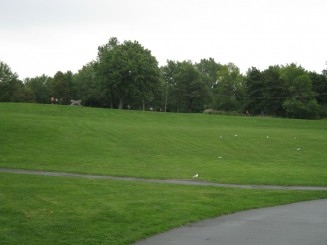 Montreal - Parcul Mont Royal