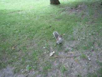 Montreal - Parcul Mont Royal