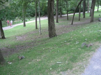 Montreal - Parcul Mont Royal