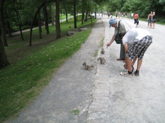 Montreal - Parcul Mont Royal