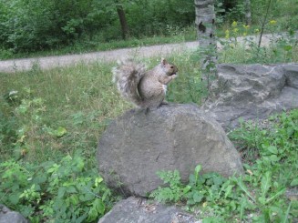 Montreal - Parcul Mont Royal