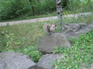 Montreal - Parcul Mont Royal