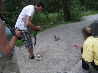 Montreal - Parcul Mont Royal
