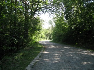 Montreal - Parcul Mont Royal