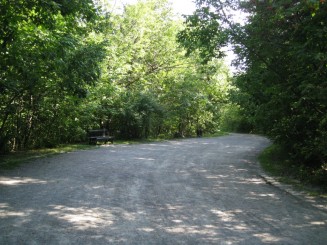 Montreal - Parcul Mont Royal